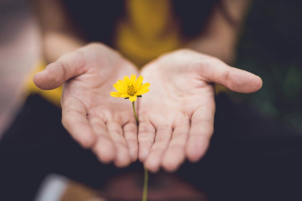 A woman holds a small yellow flower in her open hands, symbolizing healing from her trauma.